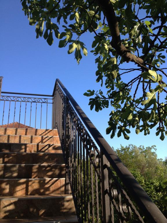 Apartmani Tivat Kaludjerovic 客房 照片